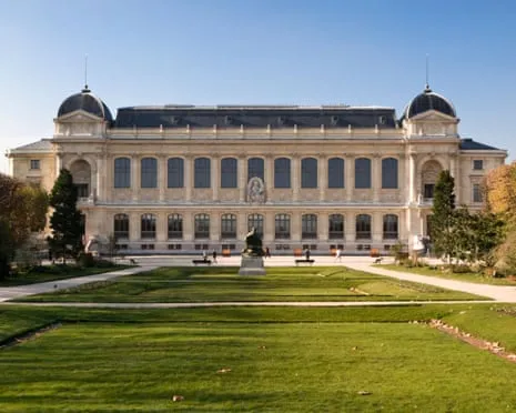 Priceless Gold Samples Stolen in Daring Raid at French National Museum
